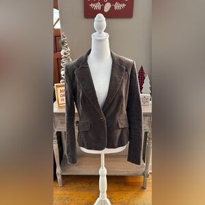 Loft Velvet Single Button Blazer